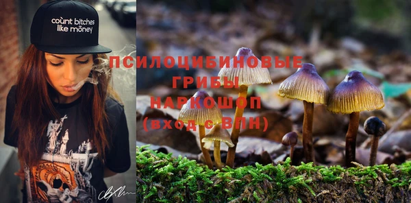 экстази Алексин