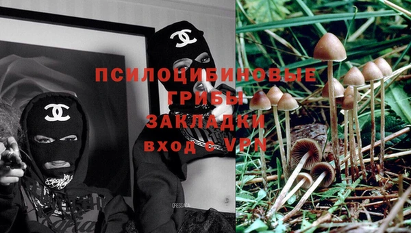 индика Алзамай