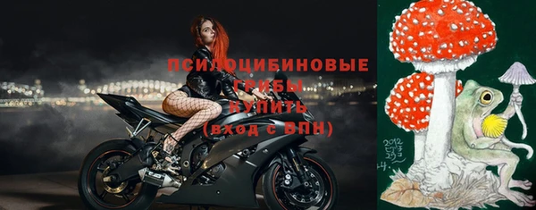 индика Алзамай
