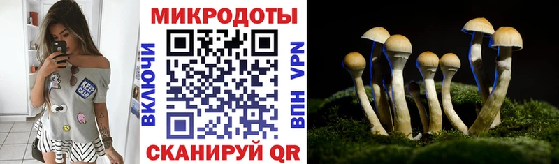 МЕГА ссылки  Кукмор  Галлюциногенные грибы ЛСД 